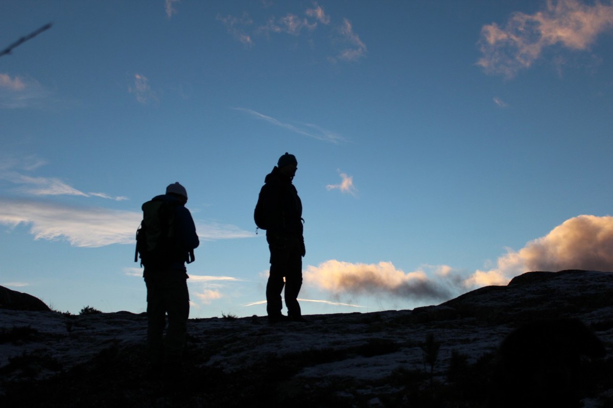 Trillemarka-Rollagsfjell høst Vegglifjell