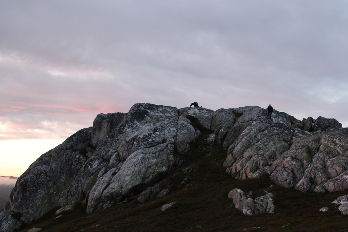 Vegglifjell Daggrønuten Topptur