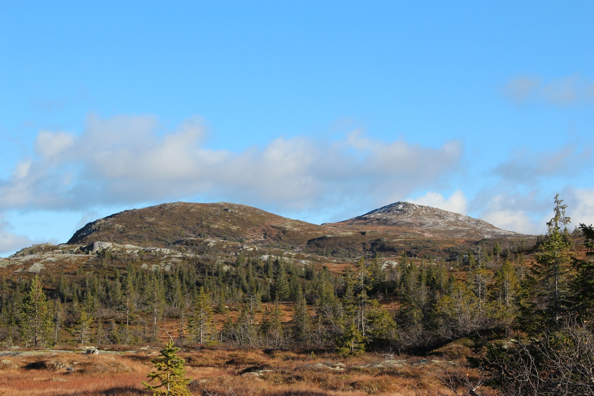 Søre Vegglifjell Senhovd landskap Utsikt Sommer