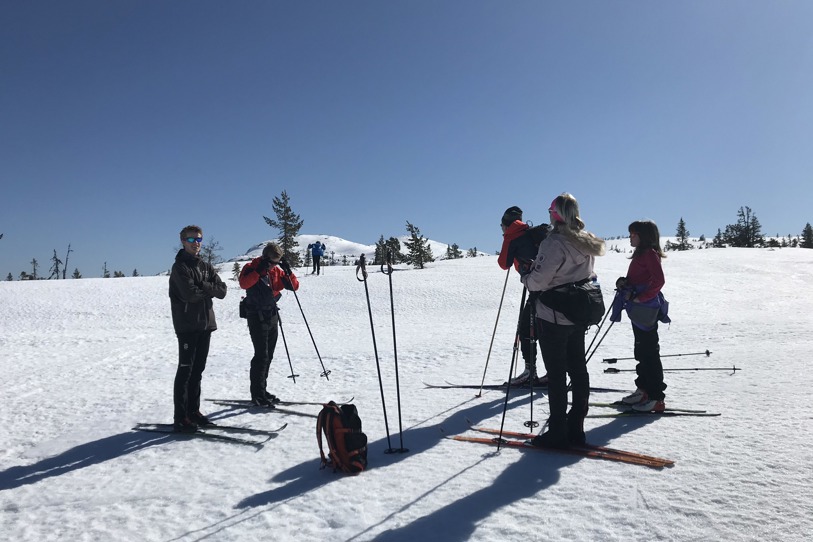 Vinter Ski Vegglifjell Sol Tur