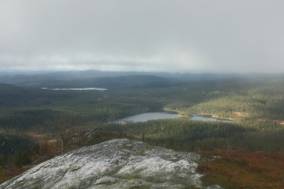 Trillemarka-Rollagsfjell Vegglifjell Topptur Geiteskallen