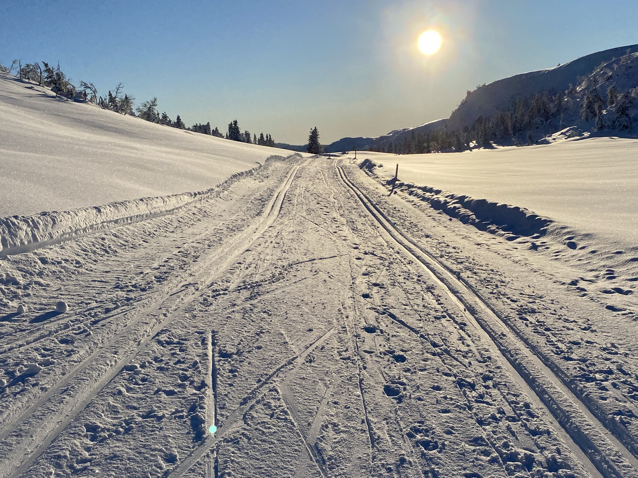 Vegglifjell Skiløype Sol Vinter