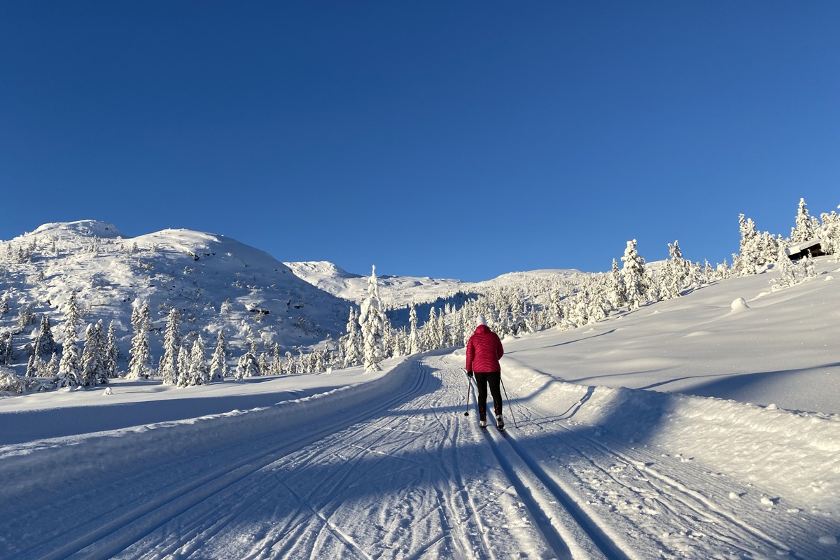 Vegglifjell Vinter Skiløype Folk