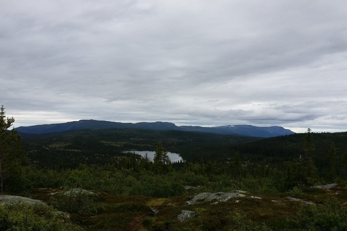 Søre Vegglifjell Svarteløkfjellet Topptur Utsikt