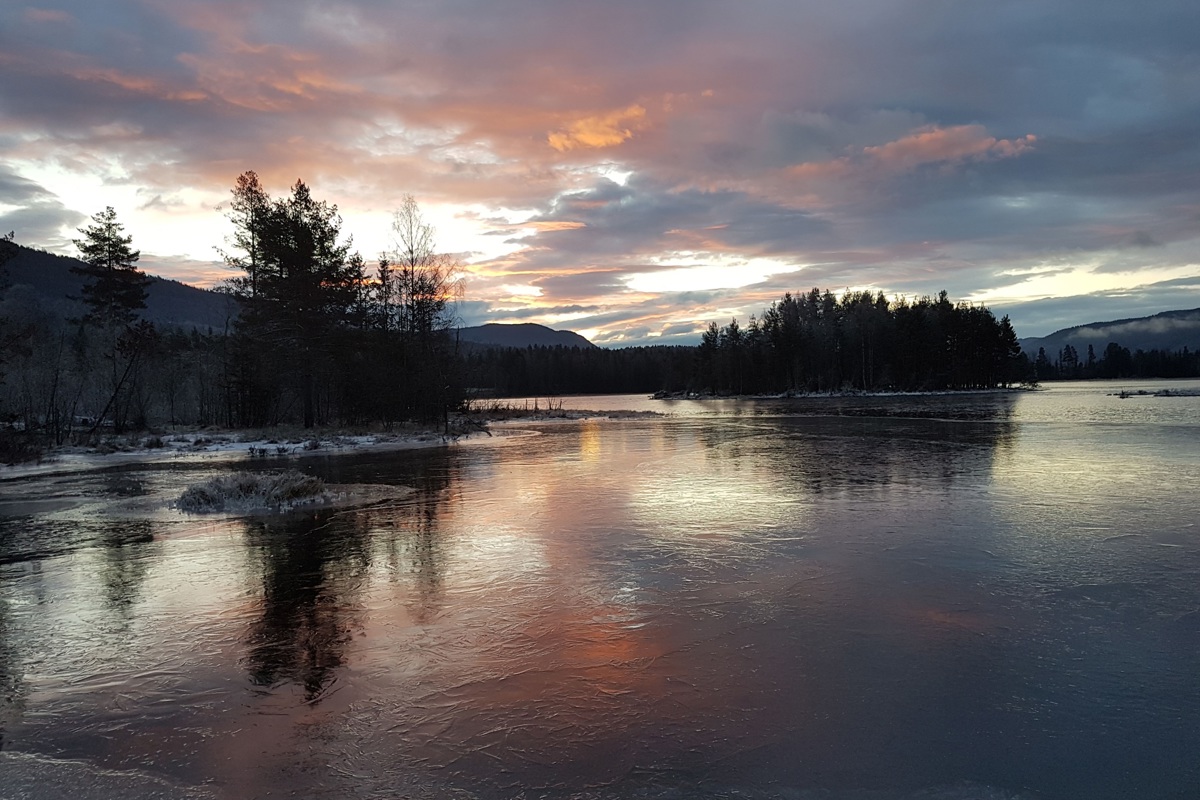 Numedalslågen Elv Fiske 