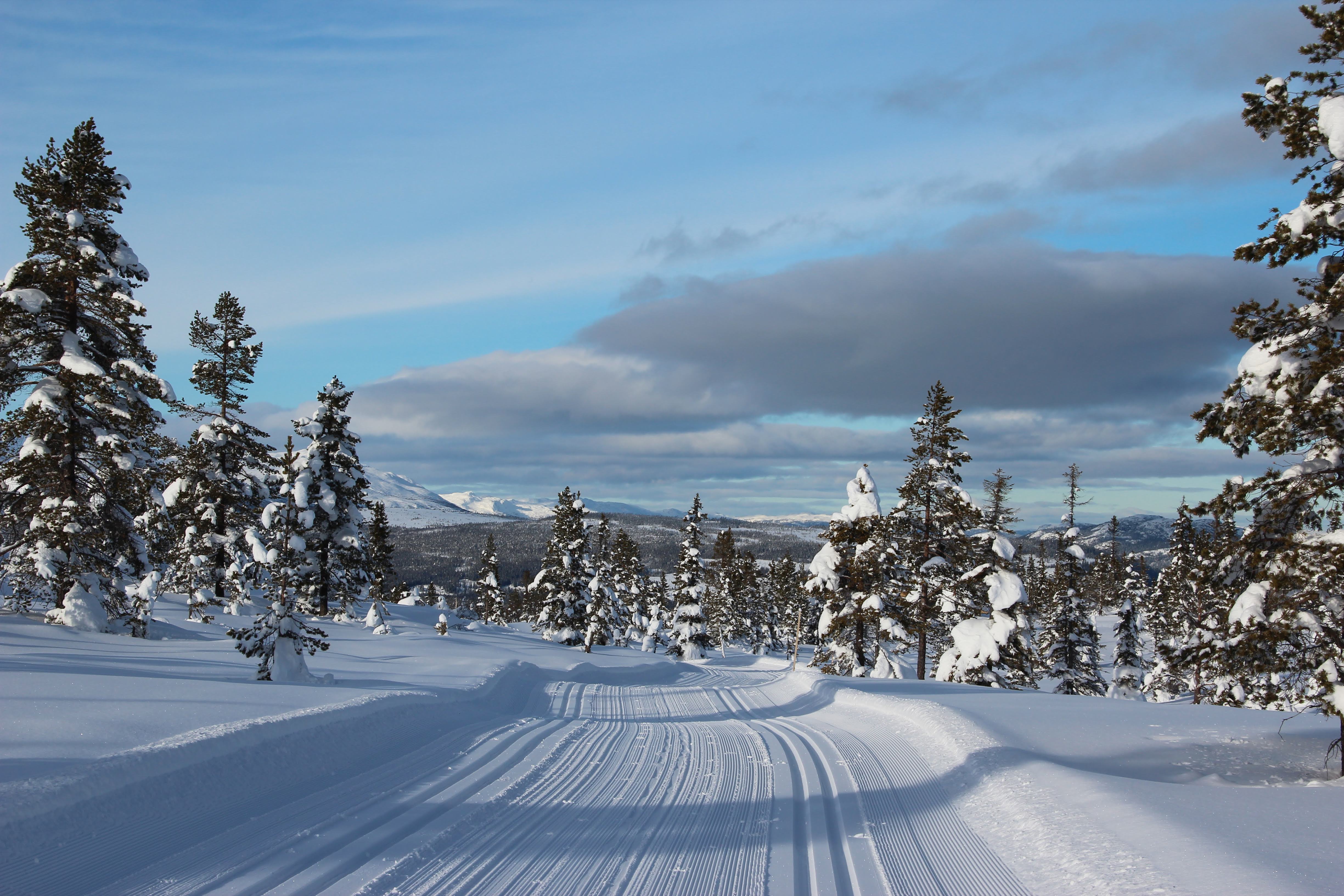 Vegglifjell Skjerbrekka Steintjønnrunden skiloype