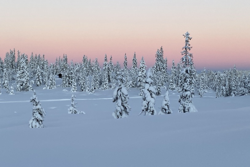 Vinterlandskap i pastellfarger på Vegglifjell,